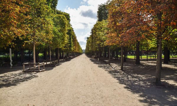How can you participate in a guided tour of the historic gardens of England?